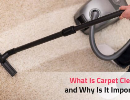 Carpet cleaning services in bangalore