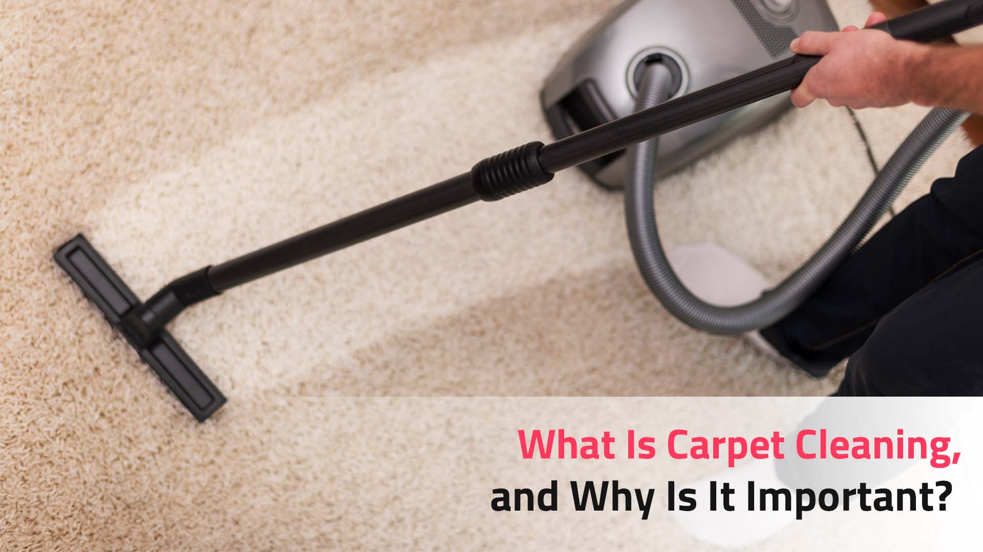 Carpet cleaning services in bangalore