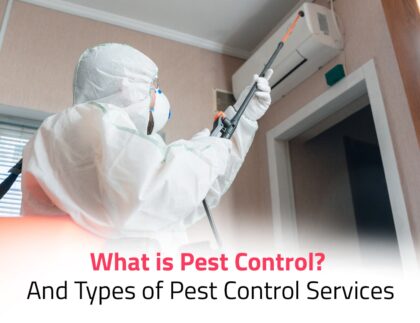 pest control services in bangalore