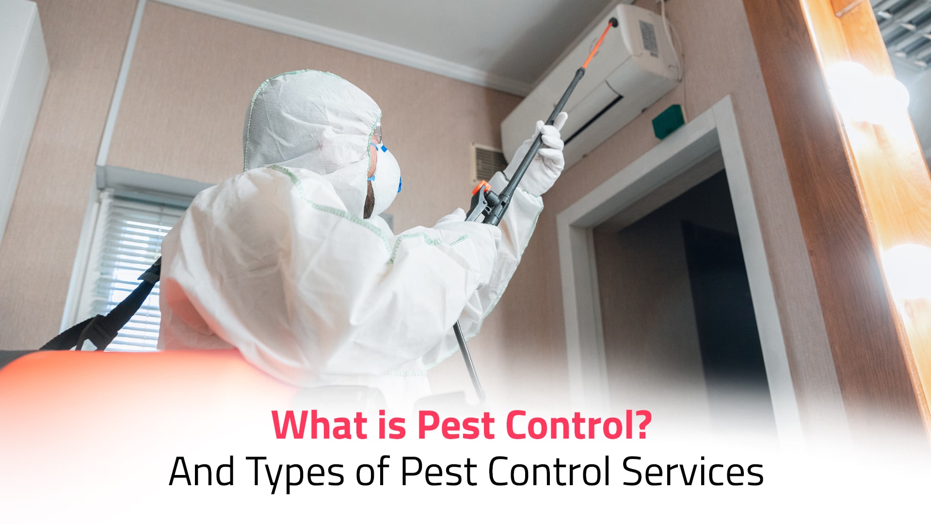 pest control services in bangalore